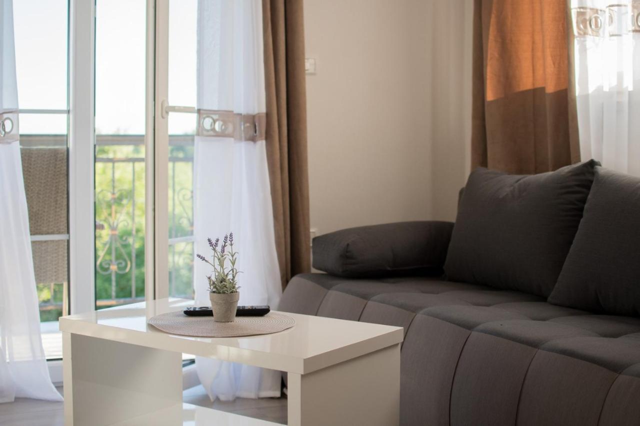 Lavanda House With Apartments Buje Ngoại thất bức ảnh