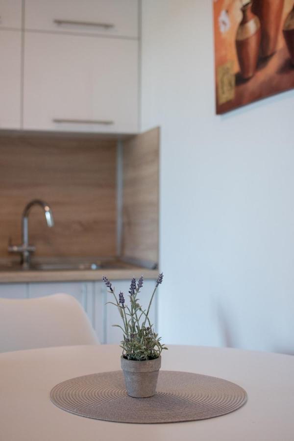 Lavanda House With Apartments Buje Ngoại thất bức ảnh